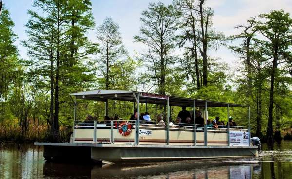 Pantoon boat tour from the Neches River Adventures