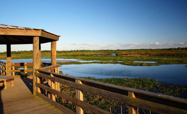 Cattail Marsh boardwalk in Beaumont, Texas