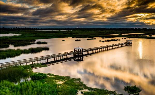 Aerial view of the boardwalk at Cattail Marsh