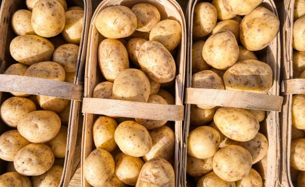 A Spud-Tacular Guide to Beaumont