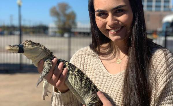 Hold a Gator