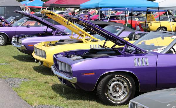 Line of muscle cars with hoods up at the Carlisle Chrysler Nationals