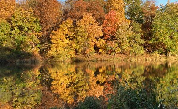 Opossum Lake-21