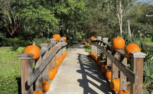Ghosts, Goblins & Gardens