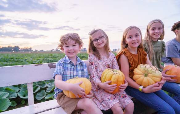 Dixie Maze Fall Festival Pumpkins
