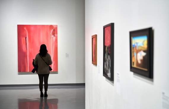 Spartanburg Art Museum patron