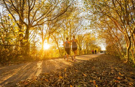 Mary Black Foundation Rail Trial runners in the sun