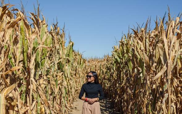 The Best Fall Weekend in Lafayette-West Lafayette, Indiana