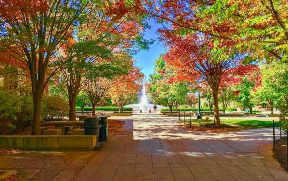 11 Vibrant Locations to View Fall Foliage in Greater Lafayette