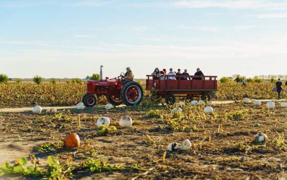10+ Fall Adventures in Greater Lafayette
