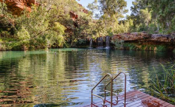 Fern Pool