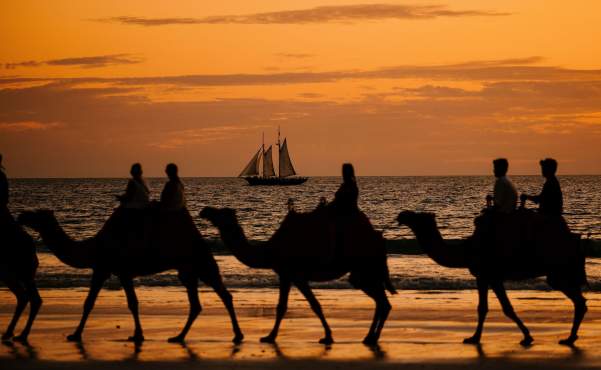 Camels silhouetted by the sunset on Cable Beach, Broome.