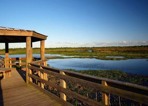 Pier at Cattail Marsh in Beaumont, TX
