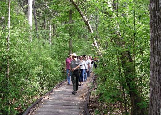 Get Active Outdoors!