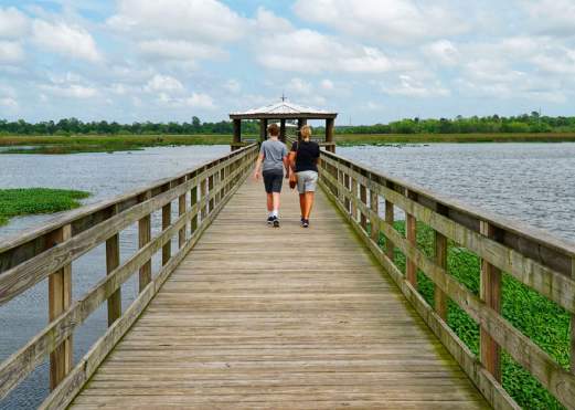 People Walking Down The Pier Of Cattail Marsh In Beaumont, TX