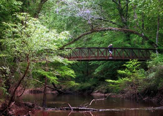 Man with binoculars on the Big Thicket bridge
