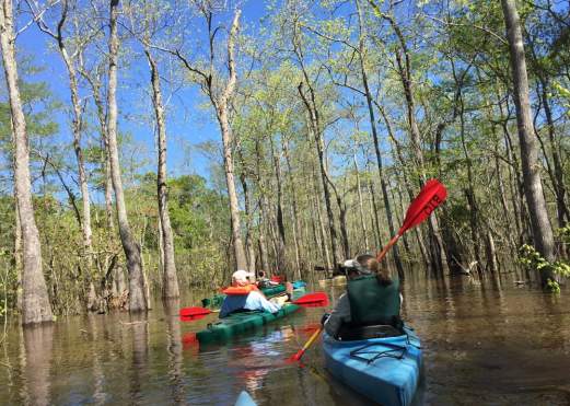 Two People Paddling at Scatterman Lake in Beaumont, TX
