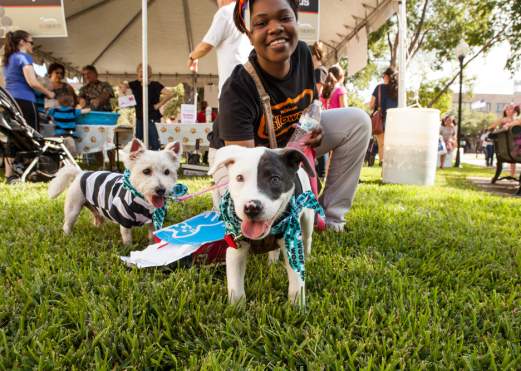 Pet-Friendly Places Around Town