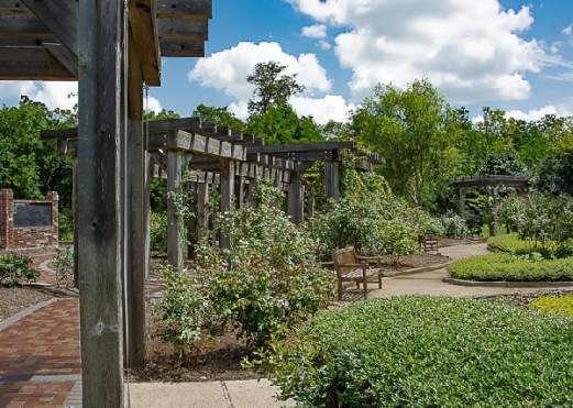 Gardens at Tyrrell Park