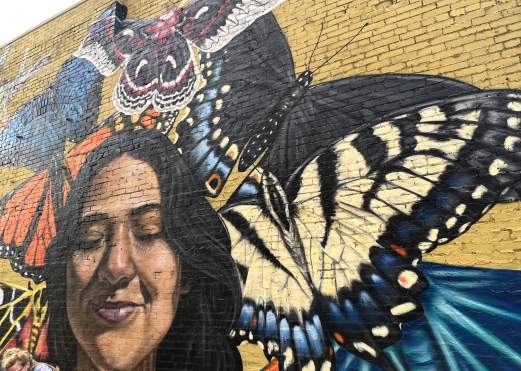 Butterflies and Carmen