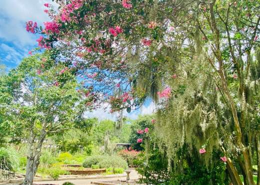 Beaumont Botanical Garden
