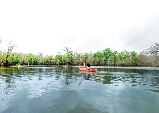 Top 10 Things to Do in Beaumont