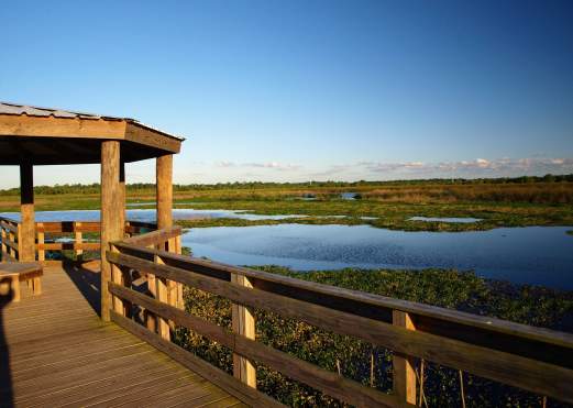 Cattail Marsh boardwalk in Beaumont, Texas