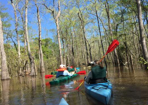 People Paddling on Cooks Lake In Beaumont, TX