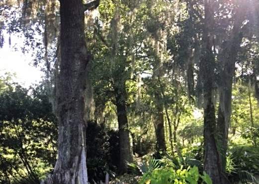 Botanical Gardens outside