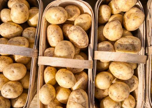 A Spud-Tacular Guide to Beaumont