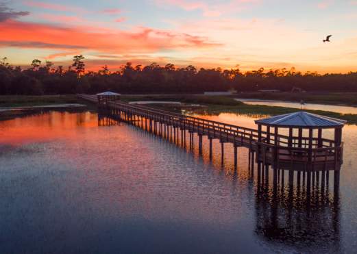 Cattail Marsh Scenic Wetlands & Boardwalk
