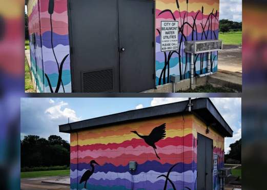 Cattail Marsh Mural