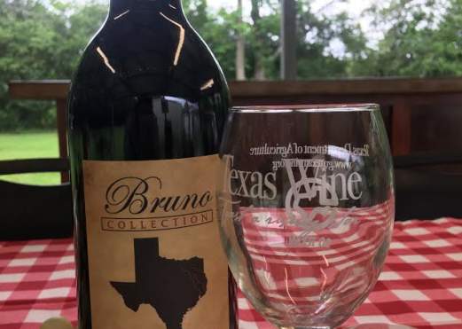 Bruno & George Winery