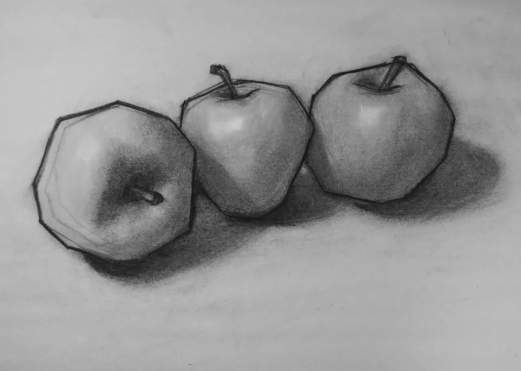 Beginner Drawing Workshop @ TASI