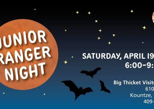 Junior Ranger Night