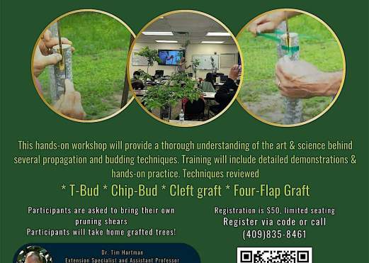 Fruit Grafting & Budding Workshop