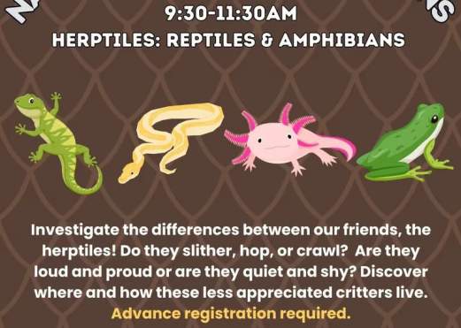 Nature Quest Summer Sessions: Herptiles- Reptiles & Amphibians