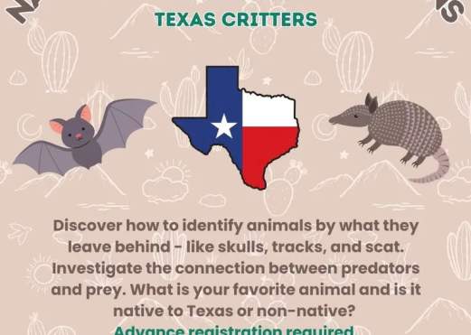 Nature Quest Summer Sessions: Texas Critters