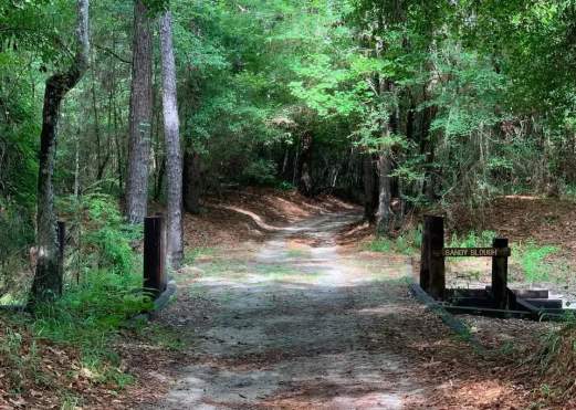 Last Saturday Volunteer Workday: Trail Cleanup