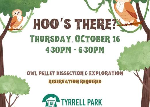 Hoo's There? | Museum Madness | Registration Required