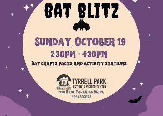 Bat Blitz - Museum Madness Weekend