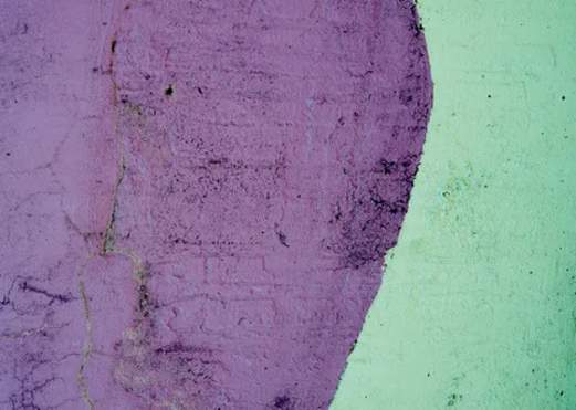 First Saturday Double Opening Reception at TASI (Amar Gupta & Justin LeBlanc)