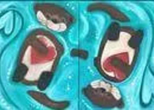 All Ages! Forever Floats