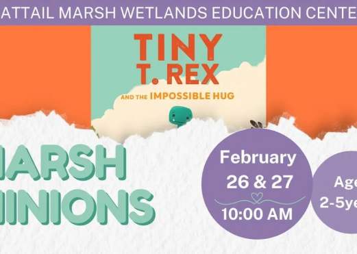 February Marsh Minions at Cattail Marsh