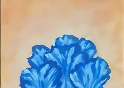 Blue Iris