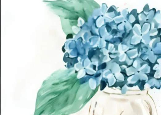 Mom's Hydrangeas