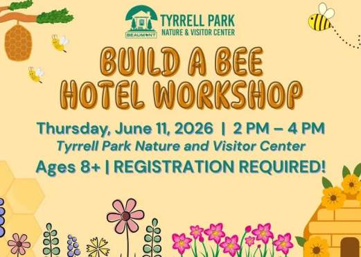 Build a Bee Hotel Workshop