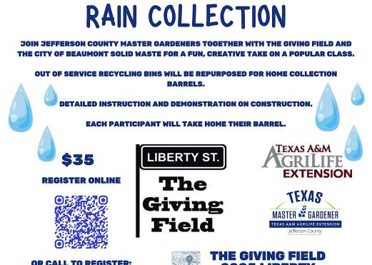 Recycling the Recycling Bins for Rain Barrels