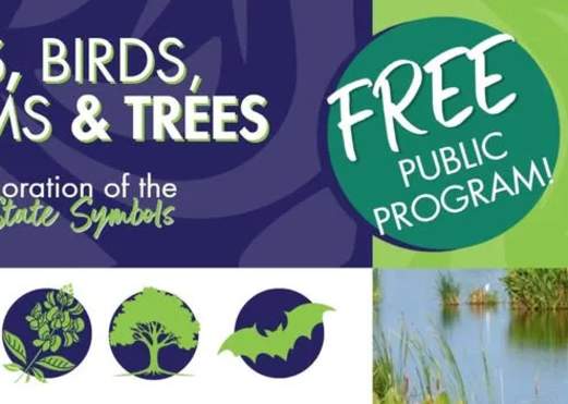 Bats, Birds, Blooms & Trees: An Exploration of the Texas State Symbols