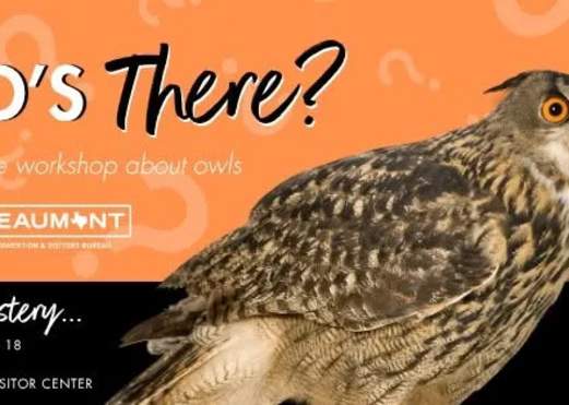 Hoooo's There? An Interactive Workshop About Owls